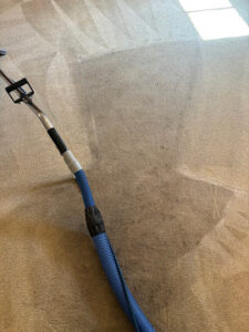 Professional carpet cleaning hose on dark stained carpet in Logan Utah rental unit