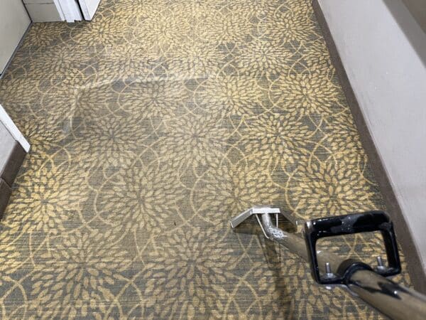 #OurWork Professional carpet cleaning in progress on stained rental property carpet in Logan Utah