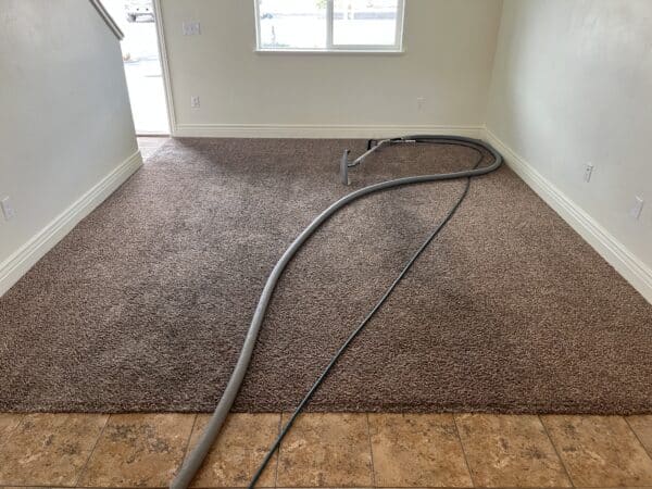 Freshly cleaned carpet with professional cleaning lines in large room in Cache Valley Utah