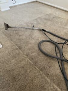 #OurWork Half cleaned carpet showing before and after difference with extraction wand and blue hose in Logan Utah