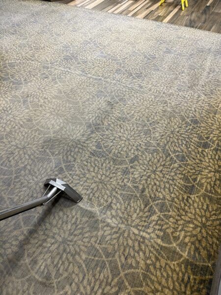 #OurWork Dramatic before and after carpet cleaning showing heavy stain removal in Cache Valley Utah rental