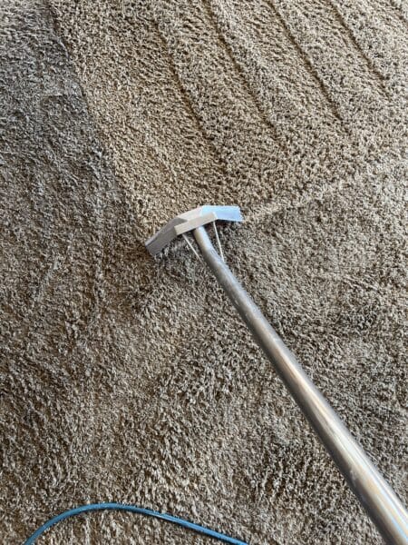 Speedy's Carpet Cleaning TOP 3 of 2026 Cache County Award Winner badge