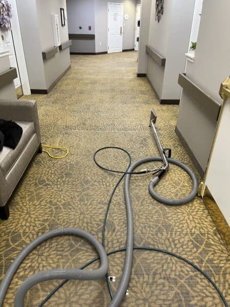 Professional carpet cleaning on stairs and hallway in Logan Utah residential home