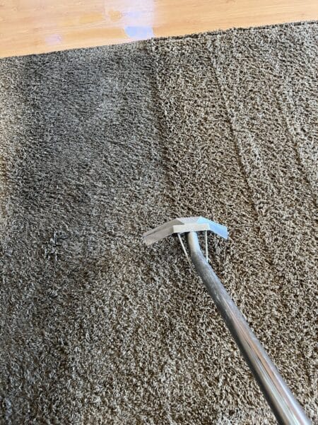 Before and after carpet stain removal in large room showing dramatic cleaning results in Cache Valley